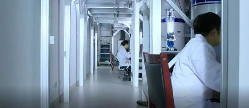 創(chuàng)新驅(qū)動(dòng)，服務(wù)升級(jí) 本源量子計(jì)算機(jī)制造廠(chǎng)信息技術(shù)咨詢(xún)服務(wù)再上新臺(tái)階