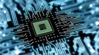 澳洲留學計算機方向選擇指南 IT、CS與軟件工程的差異詳解